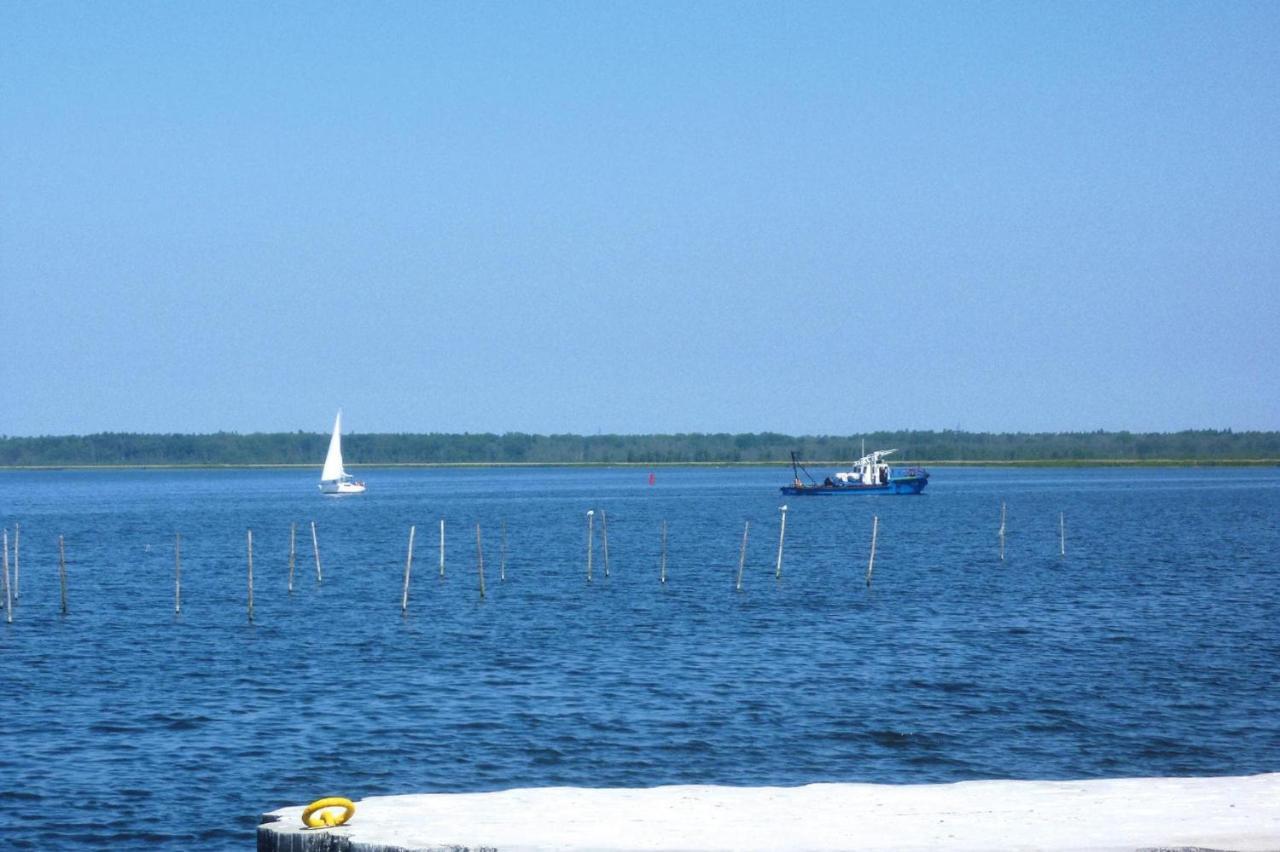 Detached Cottages By The Lake, Lubin Lubin  Extérieur photo